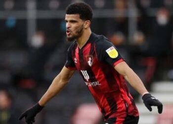 Bournemouth de Solanke gâche la soirée de promotion de Norwich City