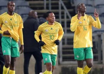 Fan View: Bafana Bafana prêts à jouer à l’Euro 2020, nous n’avons pas de concurrence en Afrique