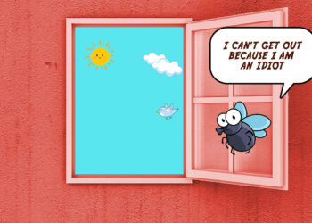 La bouteille bleue de transfert continue de bourdonner à la fenêtre