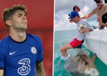 La star de l’USMNT Pulisic critiquée après être tombée d’un bateau sur un mérou goliath en voie de disparition après une cascade de jonglerie de balle