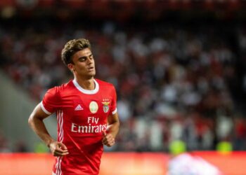 Le Celtic aime l’ailier de Benfica Filipe Jota