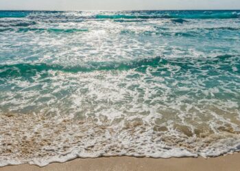 Instants de vacances amusants |    … un blog d&rsquo;Arsenal