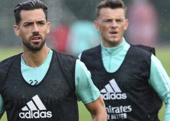 Lire la sélection de feuilles de thé avant la nouvelle saison