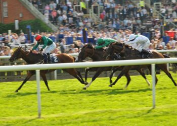 Chanceux 15 Conseils |  York |  Newmarket |  24 septembre