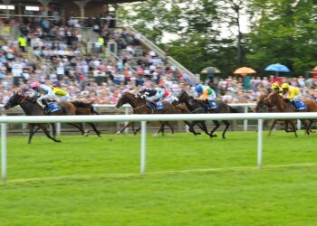 Chanceux 15 Conseils |  Newmarket |  Curragh |  25 septembre