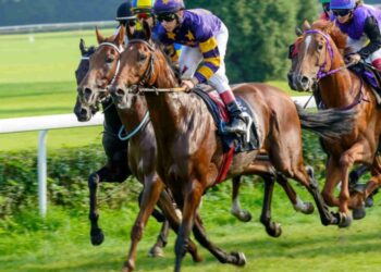 Andrew Mount Horse Racing Conseils