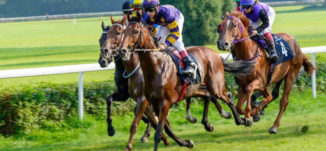 Conseils pour les courses de chevaux d'Andrew Mount - Mardi 5 octobre