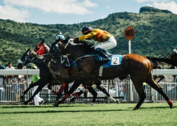 NAP du jour sur les courses hippiques : conseils sur les paris hippiques