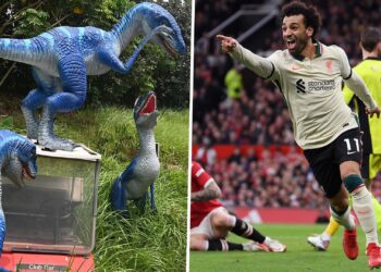 « Comme des vélociraptors dans Jurassic Park ! »  – L’attaque de Liverpool dirigée par Salah comparée aux dinosaures après la mutilation de Man Utd