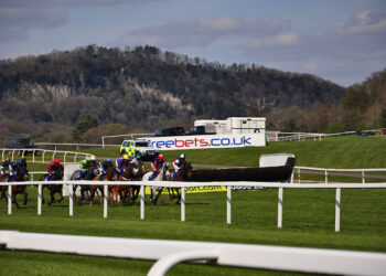 Aperçu de l’obstacle 2021 des novices de la guerre persane |  Chepstow