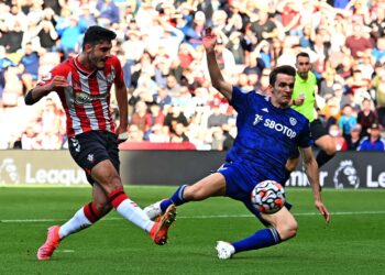 Chelsea sera enthousiasmé par ce que les fans de Southampton ont à dire sur Armando Broja, vainqueur du match