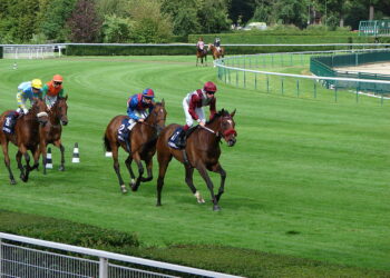 Conseils de paris sur l’arc |  Longchamp |  Prix ​​de la Forêt