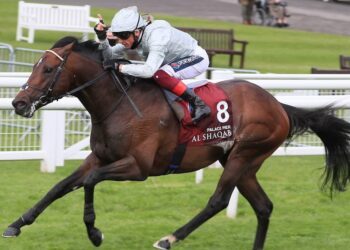 Aperçu des enjeux de la reine Elizabeth II 2021 |  Ascot