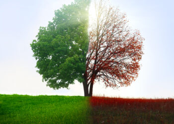 Changement de saison et d’intestins, combattre les symptômes en 4 étapes