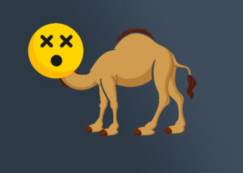 Le chameau de Premier League |    … un blog d’Arsenal