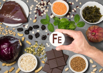 ce qu’il faut, où le trouver, comment l’intégrer