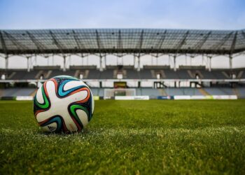 Agent de sécurité dans un stade de foot : que faut-il savoir ?