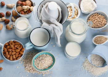 les différents types et propriétés des boissons végétales