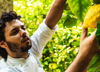 propriétés, avantages et recettes pour l’utiliser au maximum