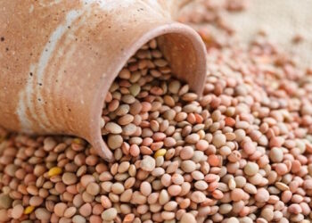 tous les secrets d’un plat rituel