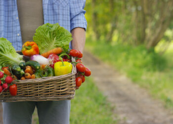 Bio, biodynamique, zéro km : est-ce vraiment mieux ?