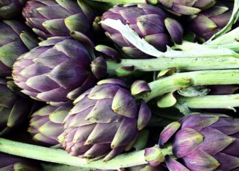 bon pour le palais, allié pour l’intestin.  Les avantages