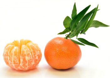 Mandarine ou clémentine ?  Avantages, profil nutritionnel et contre-indications