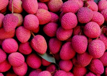 utile pour améliorer les performances dans les sports de haute intensité ?