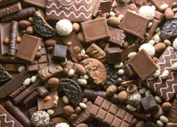 voici sa majesté le chocolat