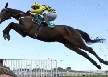 2022 Queen Mother Champion Chase Cotes et entrées