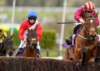 Cotes et inscriptions à la Cheltenham Gold Cup 2022