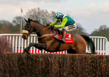 Denman Chase Conseils, prévisions et aperçu de Newbury