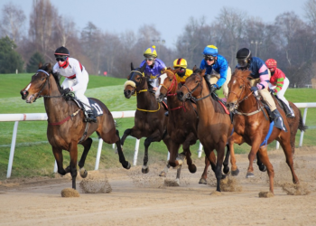 Les meilleurs paris de vendredi sur les courses britanniques et irlandaises