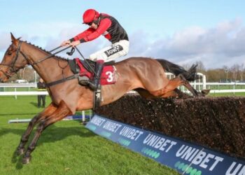 Lucky 15 Tips : Quatre chevaux à soutenir le mercredi 23 février