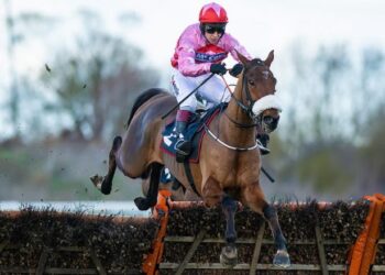 Quatre chevaux à dos le dimanche 27 février