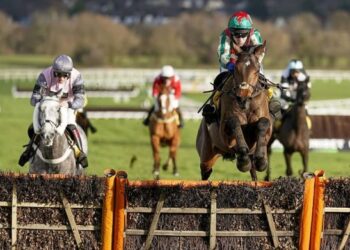 Quatre chevaux à dos le jeudi 24 février