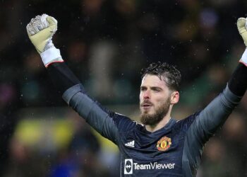 David de Gea: la star de Manchester United excelle dans la victoire de Brighton – News 24