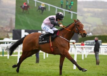 Cheltenham Jour 3 Résultats |  Où votre cheval a-t-il terminé au festival