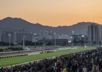 Conseils gratuits sur les courses de chevaux du mercredi