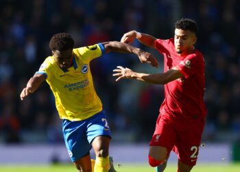 Un journaliste colombien partage un message impitoyable sur les coéquipiers nationaux de Diaz alors que la signature hivernale de Liverpool continue de briller