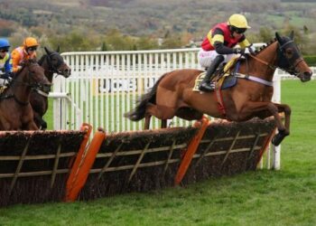 Livescore Bet Cheltenham offre |  20 £ de pari gratuit sur Cheltenham pour le festival 2022