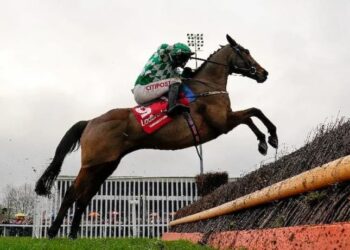 Offre d&rsquo;inscription BetBull Cheltenham : 30 £ de pari gratuit Cheltenham