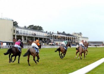 Quatre chevaux à dos le jeudi 3 mars