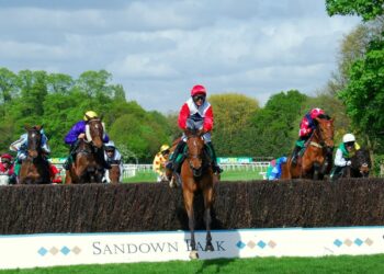 Quatre chevaux à dos le mardi 8 mars