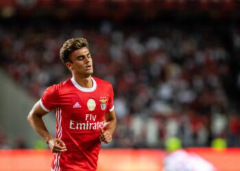 Conseils Benfica vs Liverpool Bet Builder: Retour sur notre tir 8/1