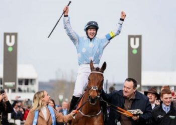 Manèges confirmés du jour 3 du Grand National Festival