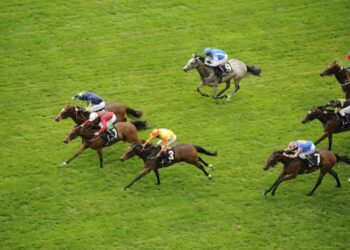 Quatre conseils sur les courses de chevaux le dimanche 24 avril