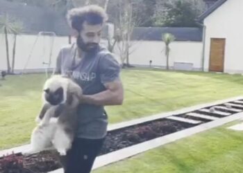 Mo Salah pose avec son chat et poste une vidéo émouvante