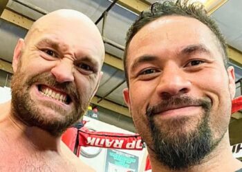 Victoire par KO pour Gypsy King