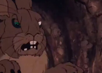 Blessures, champs verts et lapins maléfiques